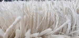 Carpet collection Shaggy Modern Rug Soft Handwoven Plain California Premium Shag Collection With 4X6 Feet(120X180 Cm) Plain Color 5Cm Pile Height For Living Room|Home And Bedroom, Rectangular, Ivory - Image 3