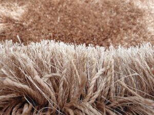 Carpet collection Soft Handwoven Fiber Modern Rectangular Rug Plain California Premium Shaggy With Plain Color 5 Cm Pile Height For Home And Bedroom (2X6 Feet/60 X 180 Cm, Beige) - Image 5