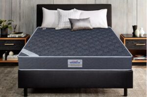 Springtek Coir Mattress | Thermal Bonded Foam... - Image 2