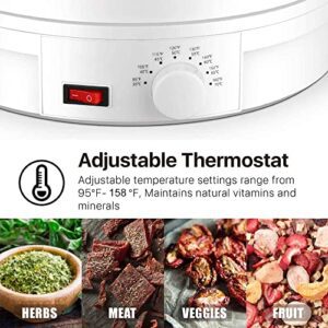Food Dehydrator with 5 Trays for Fruit Vegeta... - Image 9