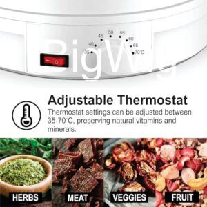 BigWig® Electric Food Dehydrator Machine with... - Image 5