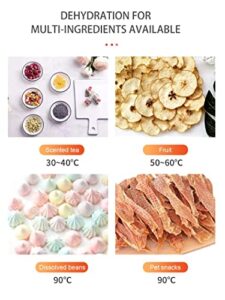 Maharaj Mall Layer Digital Panel Food Dehydra... - Image 9