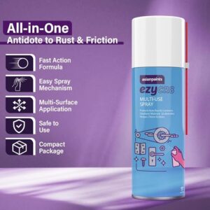 Asian Paints ezyCR8 Rust Remover Spray, for A... - Image 6