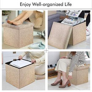 ABTRIX WITH AB Foldable Storage Footrest Clut... - Image 3