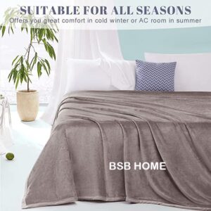 BSB HOME® Mink Blanket for Double Bed 1.9 kg Blanket | Ultrasoft & Lightweight Solid Blanket for Winter & Mild Winter Sofa, Couch - Double, 90x88 inches - 1.9 kg | Grey & Silver - Image 3