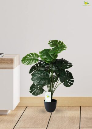 Blooming Floret Polyester Monstera Plant|With Basic Black Artificial Plant Pot|18 Green Leaves|Big Ornamental Plant For Interior Decor/Home Decor/Office Decor|63.5 Cm Tall Natural Looking Plant - Image 6