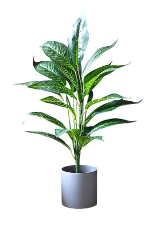 SHAKTISM Silk Artificial Croton Plant Ornamental Artificial Plant Pot, Natural Looking Indoor And Outdoor Plant For Interior Décor Home Décor Office Décor - 1 Pcs Without Pot (Green) - Image 4