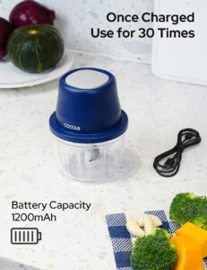 COSTAR 350Ml Rechargeable Mini Electric Chopper- 304 Stainless Steel Blades Food Processor For Kitchen, German Design, One Touch Operation, 1 Year Warranty, Ideal For Mincing Ginger, Onion, Meat - Image 7