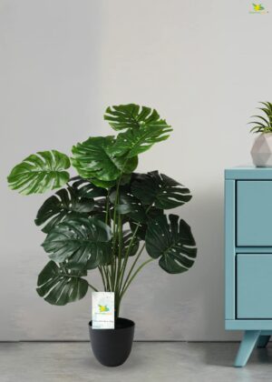 Blooming Floret Polyester Monstera Plant|With Basic Black Artificial Plant Pot|18 Green Leaves|Big Ornamental Plant For Interior Decor/Home Decor/Office Decor|63.5 Cm Tall Natural Looking Plant - Image 5