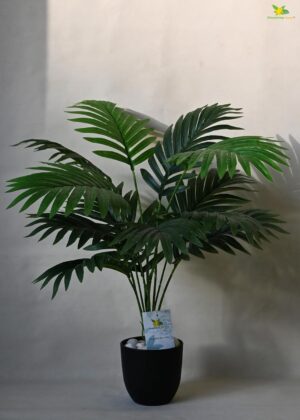 Blooming Floret Artificial Areca Palm for Home Decor/Office Decor/Gifting | 58.4 cm Short Ornamental Plant | 12 Leaves | with Basic Black Pot | Natural Looking Indoor Plant Plastic - Image 5