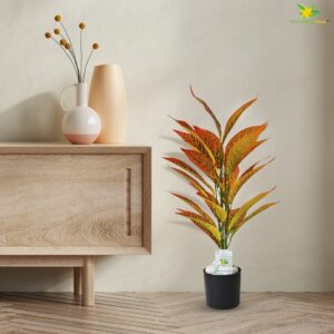 Blooming Floret Artificial Red Iceton Croton Plant | Big Ornamental Plant for Interior Decor/Home Decor/Office Decor | 26 Leaves with Basic Black Pot | 71.1 cm Tall Indoor Plant - Image 6