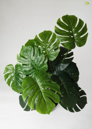 Blooming Floret Polyester Monstera Plant|With Basic Black Artificial Plant Pot|18 Green Leaves|Big Ornamental Plant For Interior Decor/Home Decor/Office Decor|63.5 Cm Tall Natural Looking Plant - Image 7