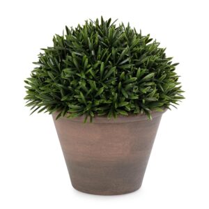 PURE HOME + LIVING Green Artificial Fern Pine Plant with Cement Pot - Large Potted Houseplants, Small Plants for Home Decor,for Indoor Greenery, Tabletop Decor Centerpiece - Image 4