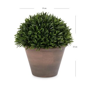 PURE HOME + LIVING Green Artificial Fern Pine Plant with Cement Pot - Large Potted Houseplants, Small Plants for Home Decor,for Indoor Greenery, Tabletop Decor Centerpiece - Image 7