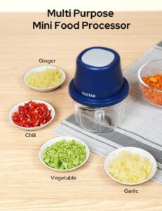 COSTAR 350Ml Rechargeable Mini Electric Chopper- 304 Stainless Steel Blades Food Processor For Kitchen, German Design, One Touch Operation, 1 Year Warranty, Ideal For Mincing Ginger, Onion, Meat - Image 6