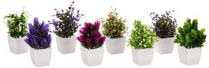 amazon basics Artificial Plants with Pot|Realistic Looking| Multi Variety |Durable Plastic | No Maintenance | Home Decor | Dimensions: 5 cm X 13 cm (Pack of 8) - Image 8