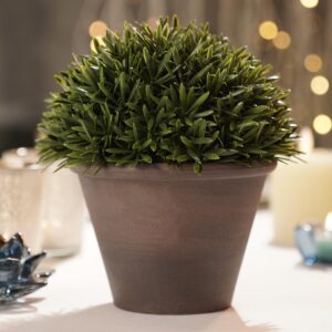 PURE HOME + LIVING Green Artificial Fern Pine Plant with Cement Pot - Large Potted Houseplants, Small Plants for Home Decor,for Indoor Greenery, Tabletop Decor Centerpiece - Image 2