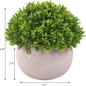 Dekorly® 4 Packs Artificial Potted Plants Bathroom Fake Shelf Plant Office Table Decor Mini Green Faux Topiary Kitchen Cabinet Farmhouse Decorations (4 Plastic Pots) - Image 6