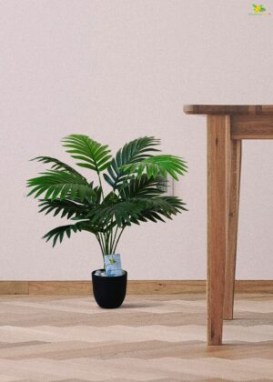 Blooming Floret Artificial Areca Palm for Home Decor/Office Decor/Gifting | 58.4 cm Short Ornamental Plant | 12 Leaves | with Basic Black Pot | Natural Looking Indoor Plant Plastic - Image 6