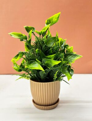 Dekorly 6 Packs Fake Plants Small, Mini Artificial Plants Indoor For Home Farmhouse Bathroom Shelf Décor (Height : 17Cm, Chocolate) - Plastic - Image 6