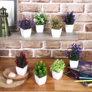 amazon basics Artificial Plants with Pot|Realistic Looking| Multi Variety |Durable Plastic | No Maintenance | Home Decor | Dimensions: 5 cm X 13 cm (Pack of 8) - Image 4