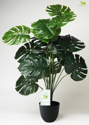 Blooming Floret Polyester Monstera Plant|With Basic Black Artificial Plant Pot|18 Green Leaves|Big Ornamental Plant For Interior Decor/Home Decor/Office Decor|63.5 Cm Tall Natural Looking Plant - Image 2