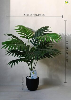 Blooming Floret Artificial Areca Palm for Home Decor/Office Decor/Gifting | 58.4 cm Short Ornamental Plant | 12 Leaves | with Basic Black Pot | Natural Looking Indoor Plant Plastic - Image 4