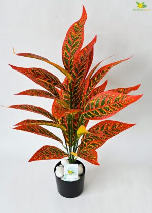 Blooming Floret Artificial Red Iceton Croton Plant | Big Ornamental Plant for Interior Decor/Home Decor/Office Decor | 26 Leaves with Basic Black Pot | 71.1 cm Tall Indoor Plant - Image 7