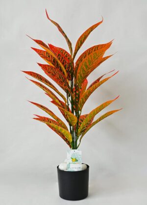 Blooming Floret Artificial Red Iceton Croton Plant | Big Ornamental Plant for Interior Decor/Home Decor/Office Decor | 26 Leaves with Basic Black Pot | 71.1 cm Tall Indoor Plant - Image 2