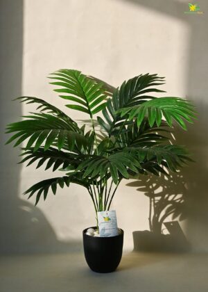 Blooming Floret Artificial Areca Palm for Home Decor/Office Decor/Gifting | 58.4 cm Short Ornamental Plant | 12 Leaves | with Basic Black Pot | Natural Looking Indoor Plant Plastic - Image 2