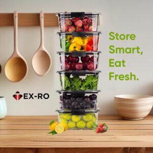 TEX-RO Air Tight Container For Fridge Organizer Plastic Container Storage Set Fridge Storage Boxes, Kitchen Accessories Set Organization & Kitchen Storage (Set of 4, polyethylene Terephthalate) Black - Image 7