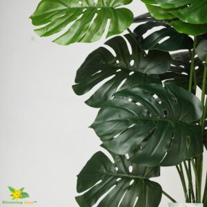 Blooming Floret Polyester Monstera Plant|With Basic Black Artificial Plant Pot|18 Green Leaves|Big Ornamental Plant For Interior Decor/Home Decor/Office Decor|63.5 Cm Tall Natural Looking Plant - Image 3