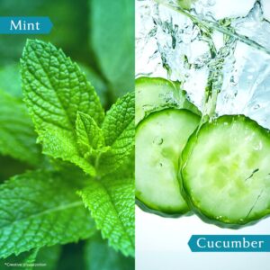 Vivel Cooling Body Wash, Mint & Cucumber Shower Gel, 400 ml Supersaver Refill Pouch, Moisturizing & Fragrant Bodywash, For Soft, Smooth & Fresh Skin, Refreshing Shower Gel, For Women & Men - Image 6