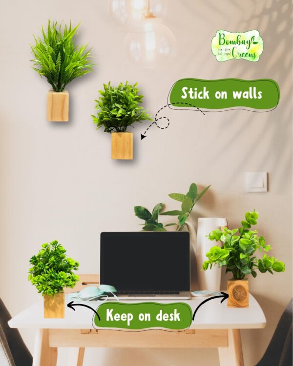 Bombay Greens Wooden Wall Planter| Mini Square Wall Planter for Indoor Plant | Wall Décor Planter for Living Room, Kitchen, Office, Home – Set of 4 with Artificial Plants and Double Sided Tape - Image 8