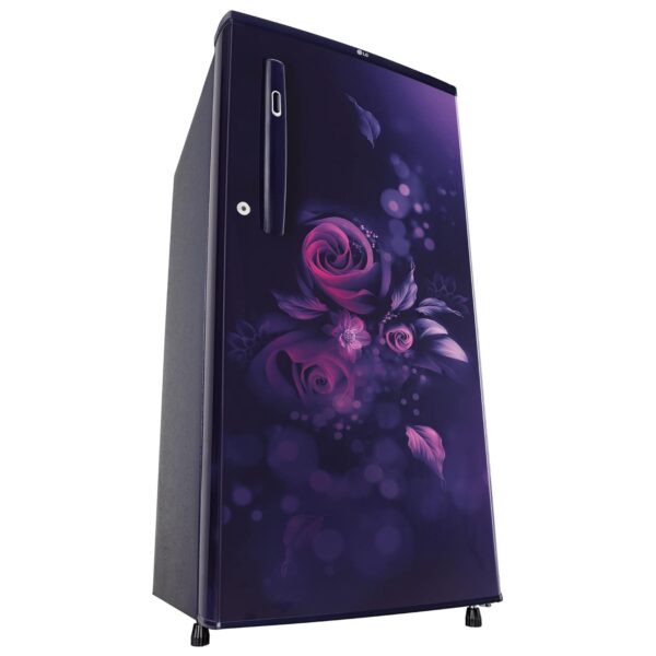 LG 185 L, 4 Star, Smart Inverter, Direct-Cool Single Door Refrigerator (GL-B199OBEY, Blue Euphoria, Smart Connect & Fast Ice Making) - Image 16