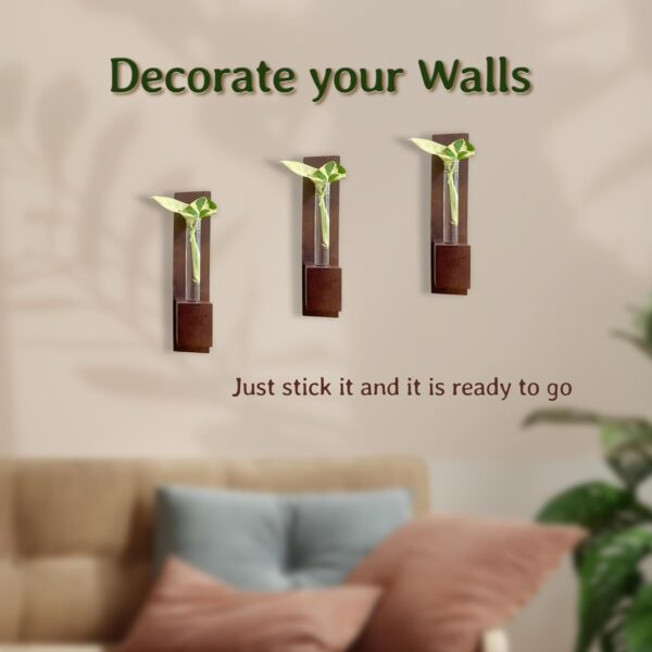 Bombay Greens ; Sow, grow, eat, repeat Wall Planter|Wooden Plant Holder for Living Room|Eco Friendly Planter for Home Décor|Test Tube Planter for Office|Double Sided Tape Included (Set of 3) - Image 6