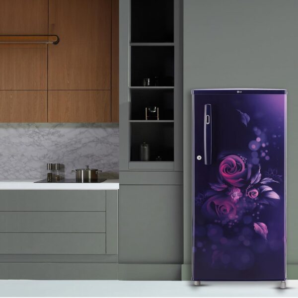 LG 185 L, 4 Star, Smart Inverter, Direct-Cool Single Door Refrigerator (GL-B199OBEY, Blue Euphoria, Smart Connect & Fast Ice Making) - Image 8