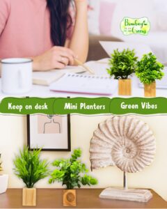 Bombay Greens Wooden Wall Planter| Mini Square Wall Planter for Indoor Plant | Wall Décor Planter for Living Room, Kitchen, Office, Home – Set of 4 with Artificial Plants and Double Sided Tape - Image 7