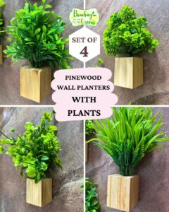 Bombay Greens Wooden Wall Planter| Mini Square Wall Planter for Indoor Plant | Wall Décor Planter for Living Room, Kitchen, Office, Home – Set of 4 with Artificial Plants and Double Sided Tape - Image 4