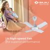 Bajaj Maxima 600 MM Ceiling Fan 【White】 - Image 3