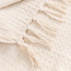 Tarantaran 100% Cotton Throw 50 X 60 Inches D... - Image 3