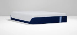 Springtek Dreamer 72x30x5 Inches Single Size ... - Image 5