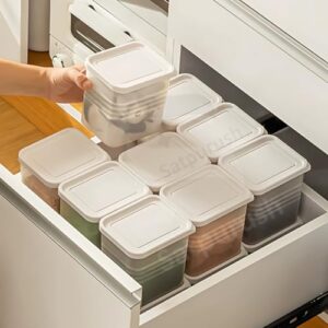 Satpurush Fridge Storage Boxes (Pack of 6) Fr... - Image 10