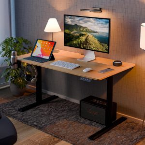 Ergonomic adjustable standing desk for home and office use
